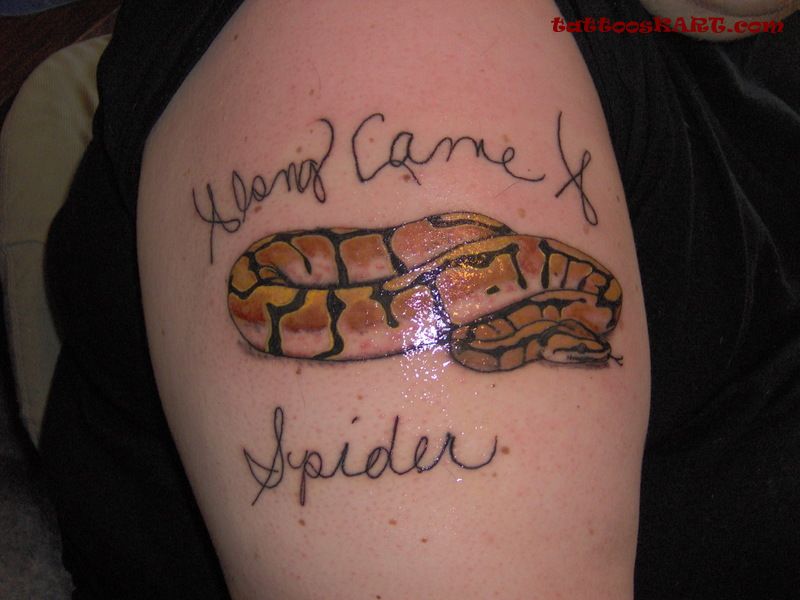 Reptile Snake And Writing Tattoo On Half Sleeve