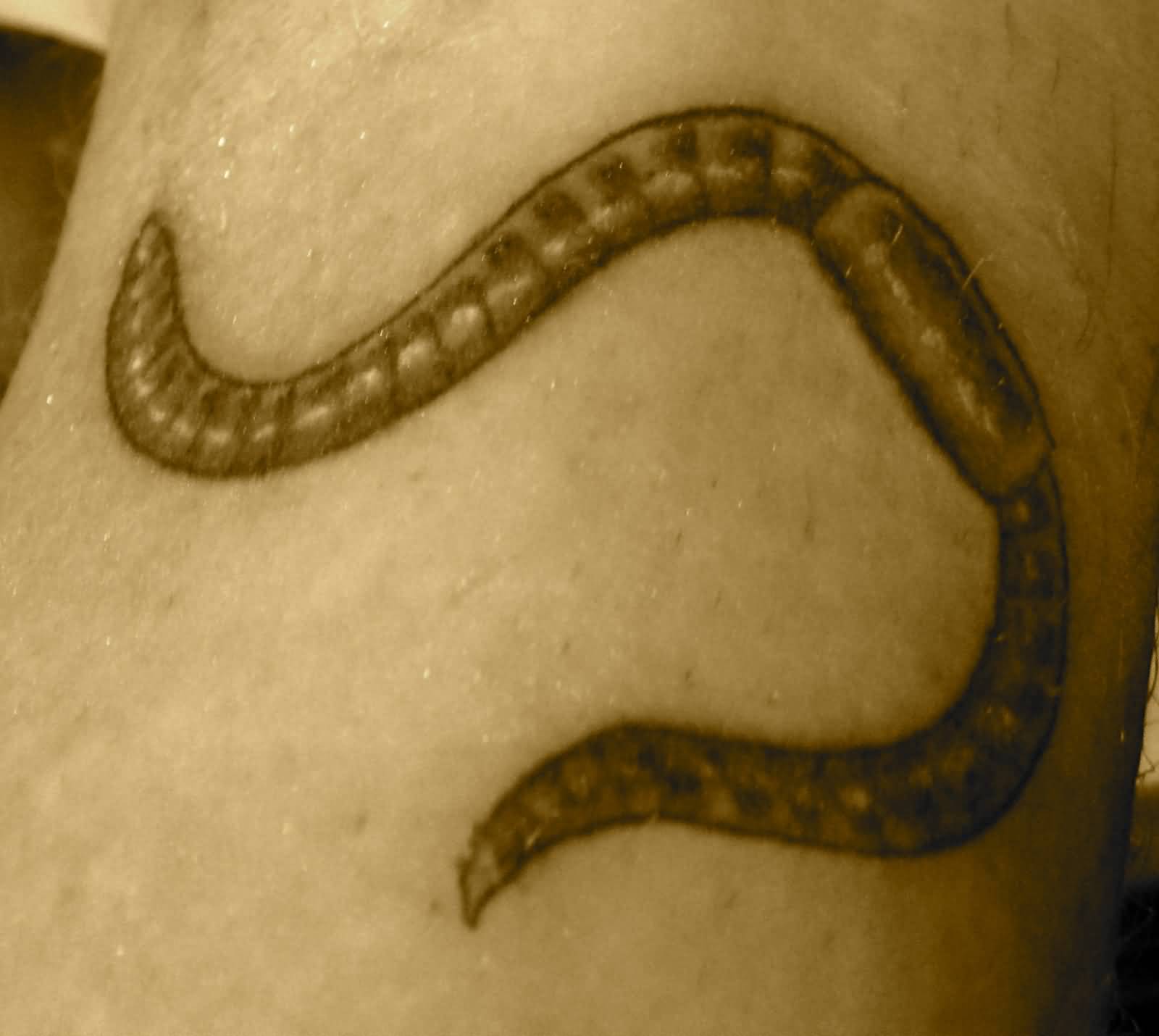 Simple Worm Tattoo