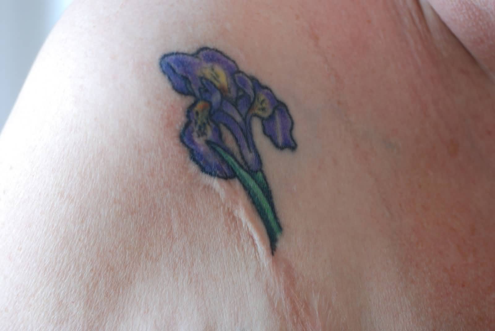 Small Purple Irises Tattoo