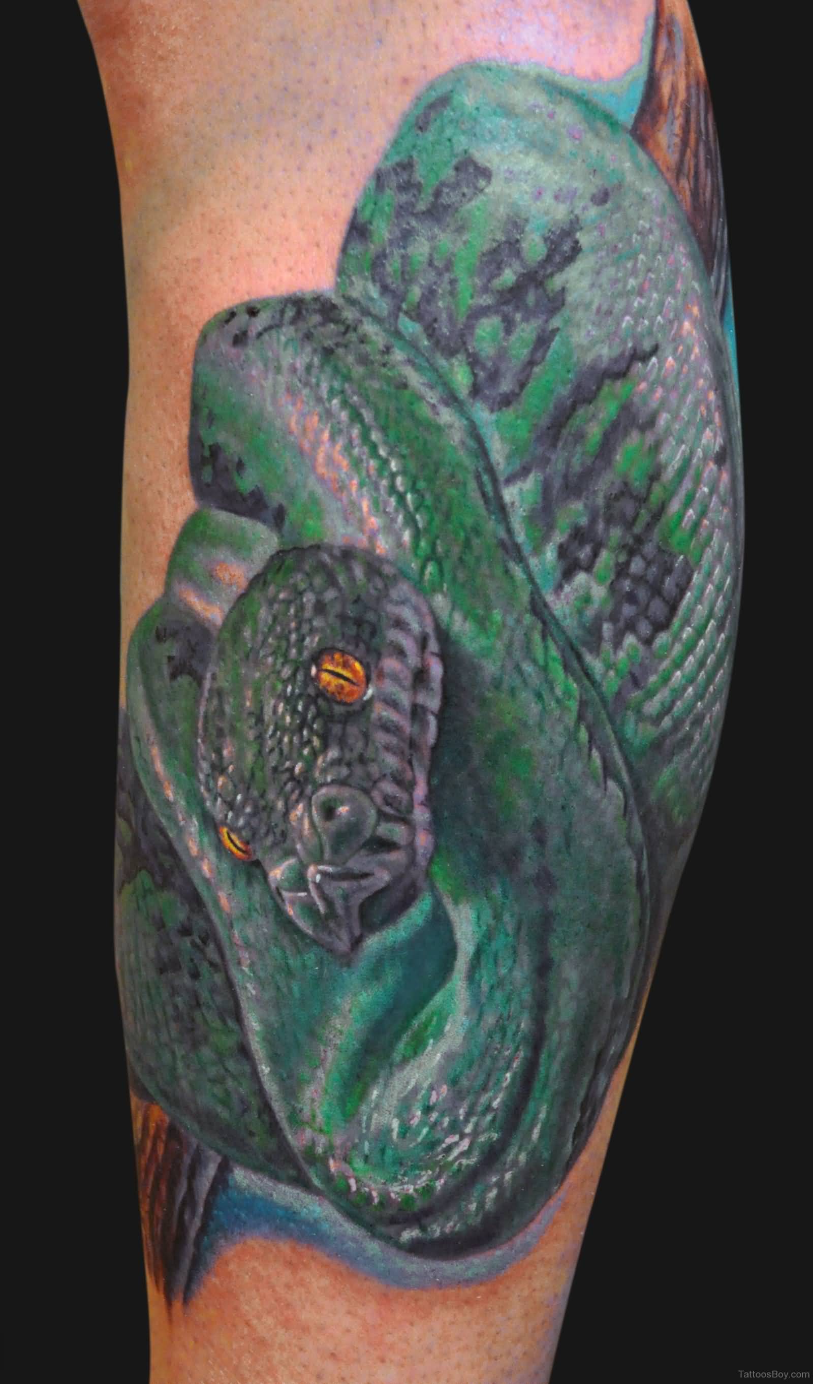 Superb Green Reptile On Tree Branch Tattoo