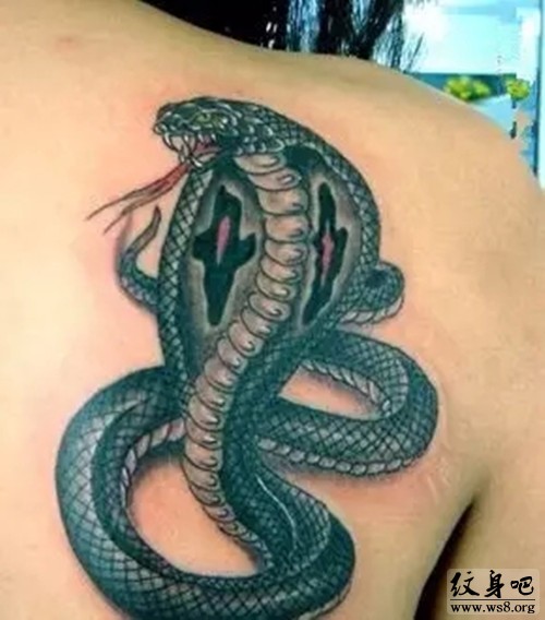 Very Nice Angry Reptile Snake Tattoo On Back Left Shoulder