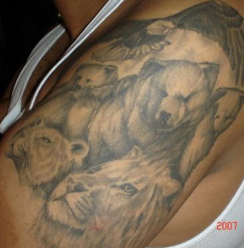 Wonderful Grey Bear With Puma And Lion Tattoo On Left Shoulder