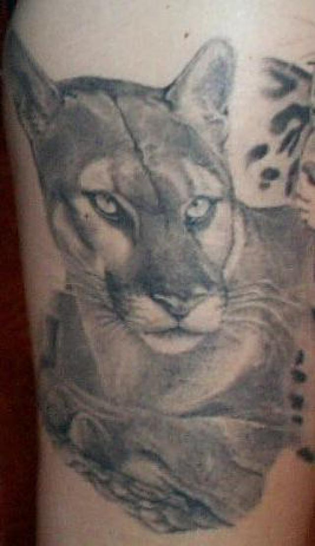 Wonderful Grey Puma Tattoo