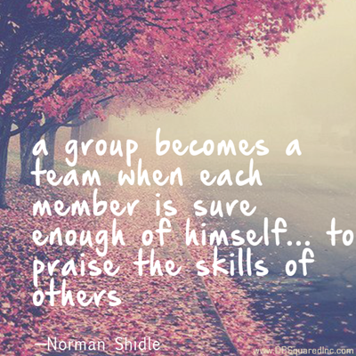 A group becomes a team when each member is sure enough of himself and his contribution to praise the skills of the others. - Norman Shidle