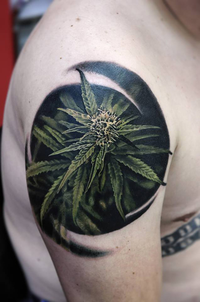 Awesome 3D Realistic Marijuana Plant Tattoo On Right Shoulder