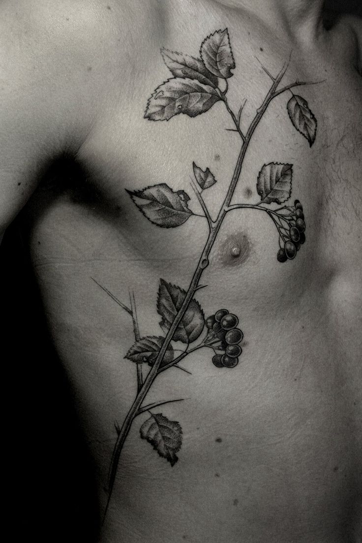 Awesome Plant Tattoo For Men