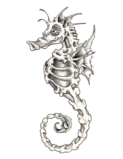 Awesome Seahorse Skeleton Tattoo Drawing