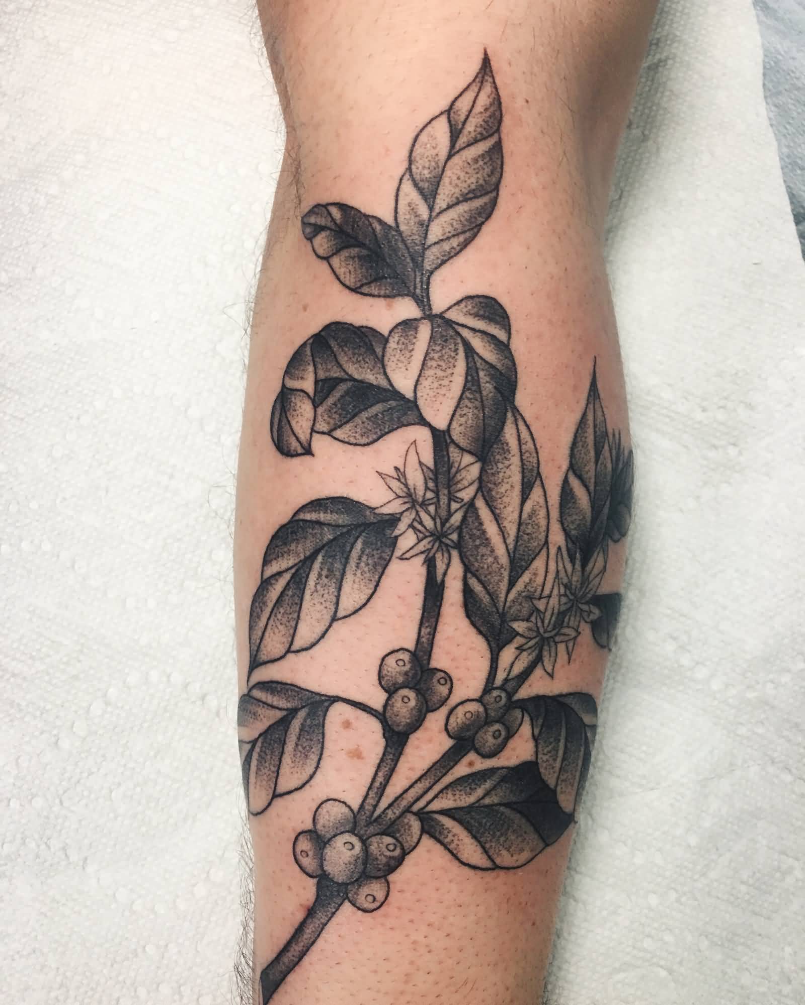 Black And Grey Coffee Plant Tattoo