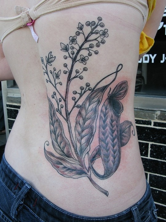Black And Grey Plant Tattoo On Back For Girls