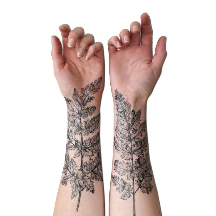 Black And Grey Plant Tattoos On Forearms