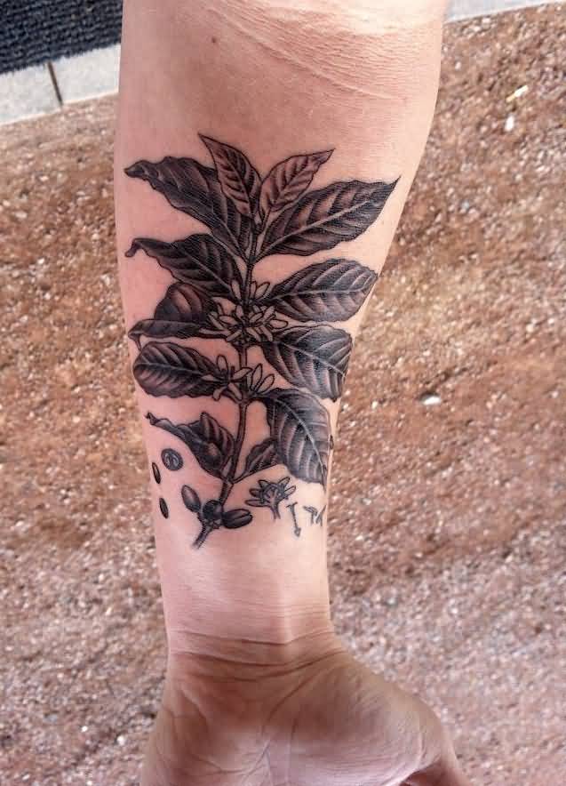 Black Coffee Plant Tattoo On Forearm By Trollklint