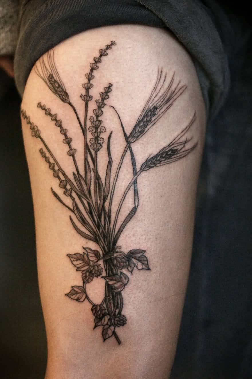Black Ink Wheat Plant Tattoo On Half Sleeve