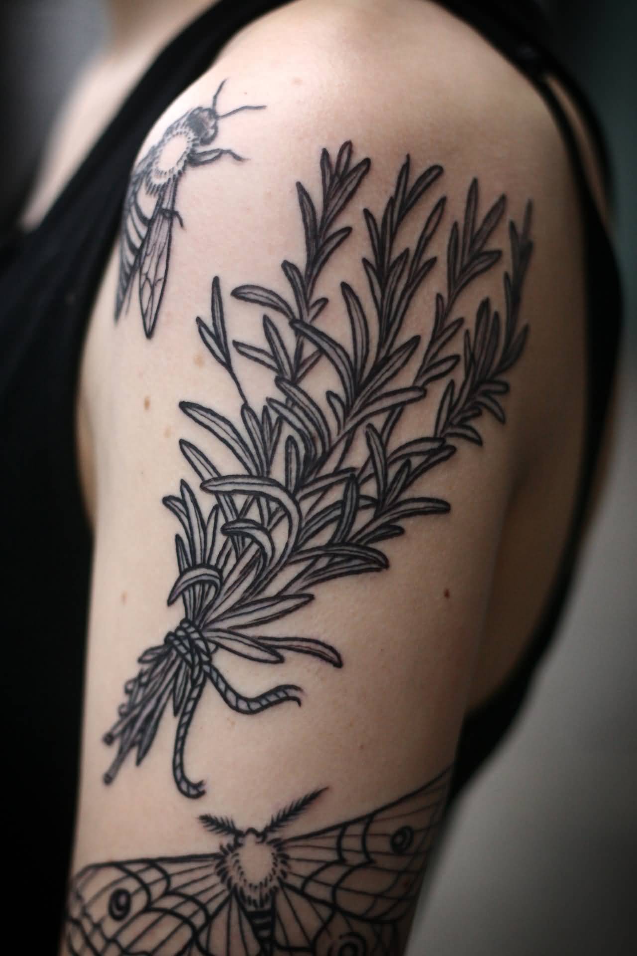 Black Rosemary Plant Tied With Rope Tattoo On Left Shoulder By TattooGeisha