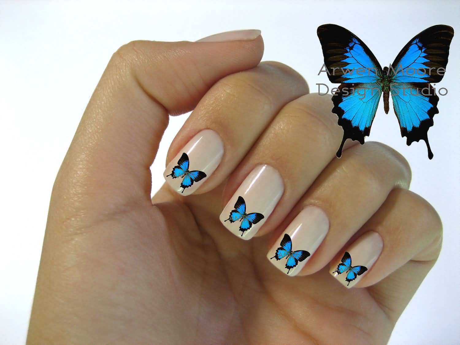 Blue And Black Butterflies Nail Art Design
