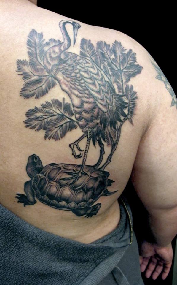 Brilliant Black Swan On Tortoise Shell Tattoo On Back Right Shoulder