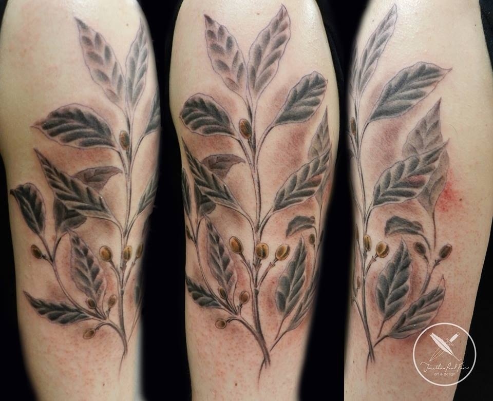 Coffee Plant Tattoo By Jonathan Fiore