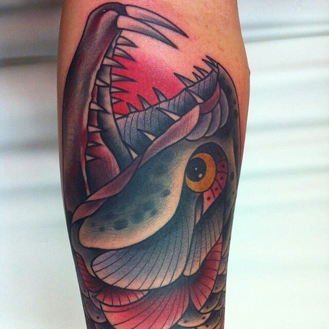 Colorful Sea Creature Fish Tattoo On Forearm