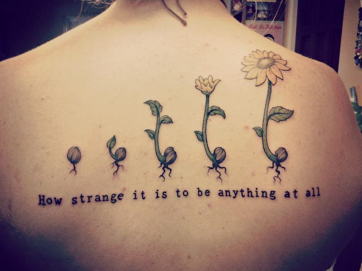 Creative Growing Sun Flower Plant And Quote Tattoo On Upper Back
