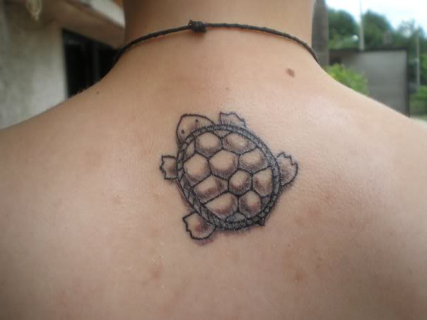 Cute Small Tortoise Tattoo On Upper Back