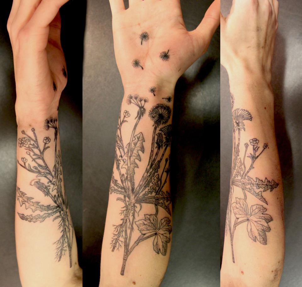 Dandelion Blowing From Plant Tattoo On Forearm