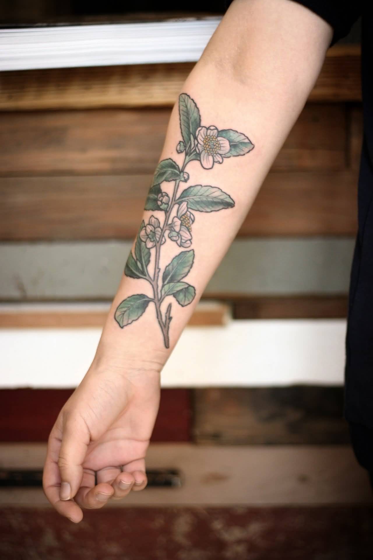 Flower Plant Tattoo On Forearm