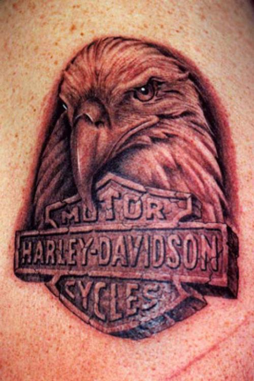 Grey Eagle Head And Harley Davidson Logo Tattoo