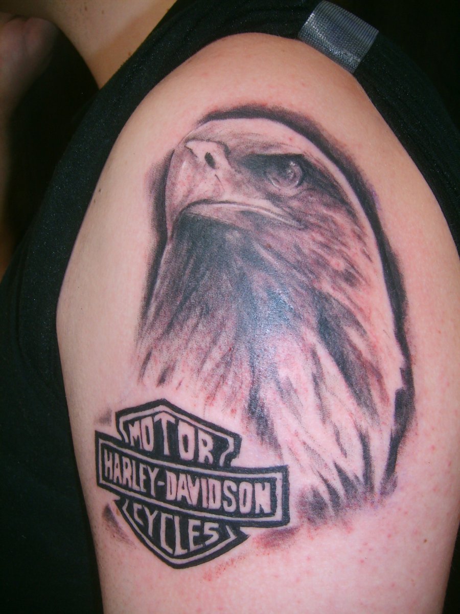 Grey Ink Eagle Head And Harley Logo Tattoo On Left Shoulder.
