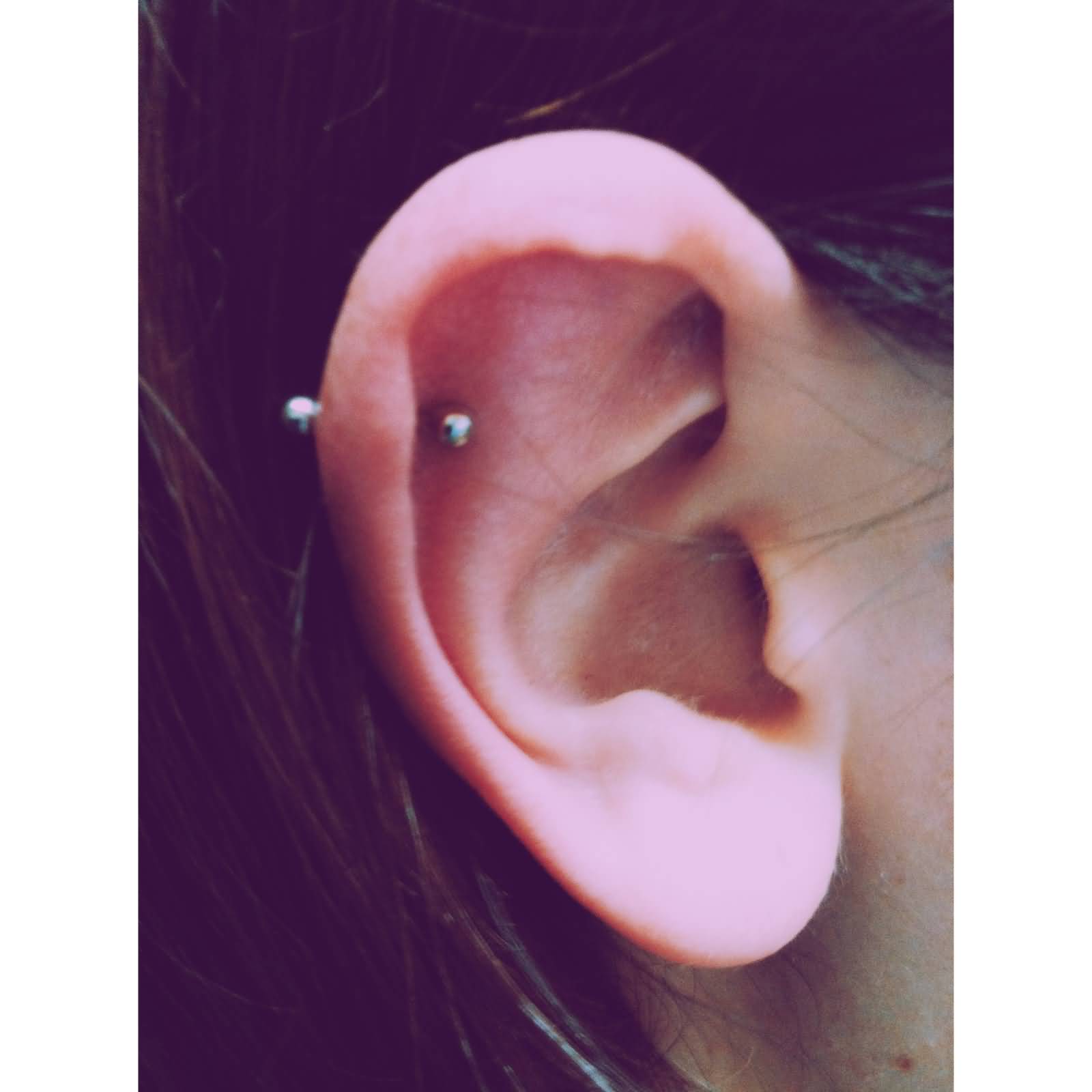 Helix Or Rim Piercing With Silver Barbell