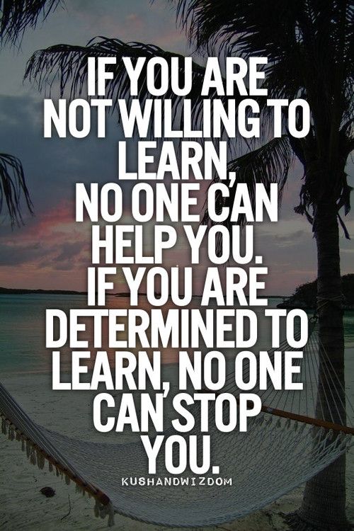 If you are not willing to learn, no one can help you. If you are determined to learn, no one can stop you. - Zig Ziglar