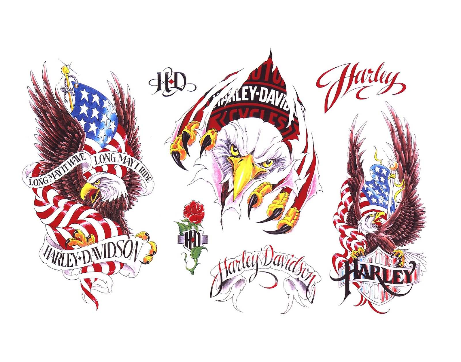 Lovely Eagle And Harley Davidson Logo Tattoo Samples Set
