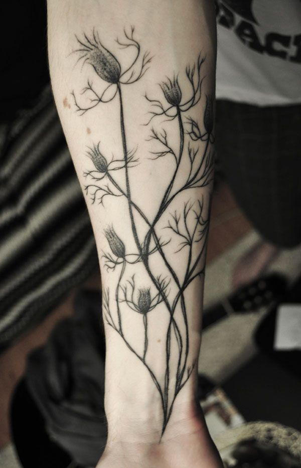 Lovely Plant Tattoo On Forearm By Lionel Fahy