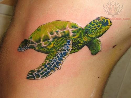 Lovely Swimming Green Sea Turtle Tattoo