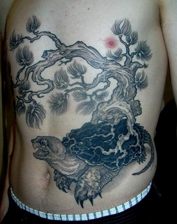 Nice Black And Grey Tortoise Tattoo