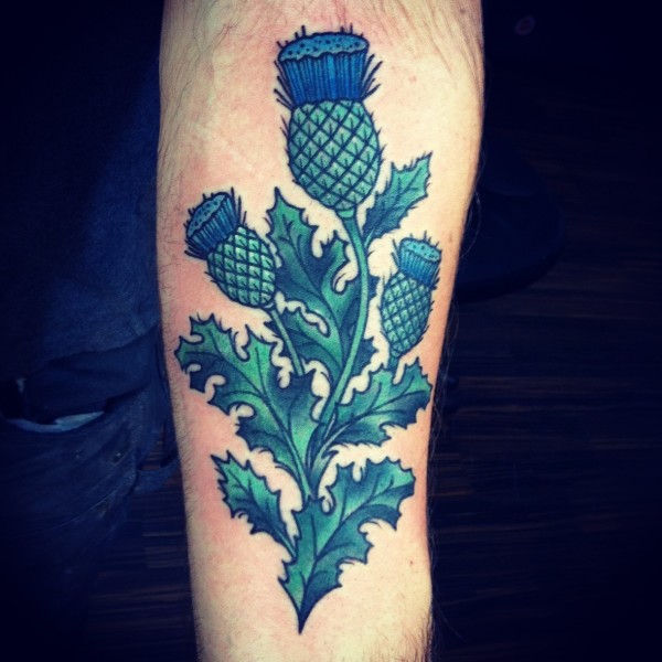Nice Blue Green Plant Tattoo