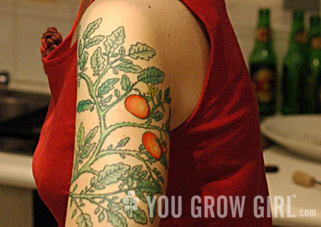Nice Cherry Tomatoes Plant Tattoo On Left Half Sleeve