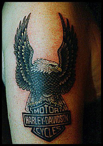 Nice Eagle And Harley Bike Logo Tattoo