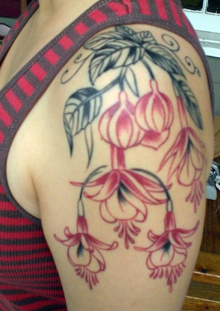 Nice Fuchsia Flower Plant Tattoo On Left Shoulder