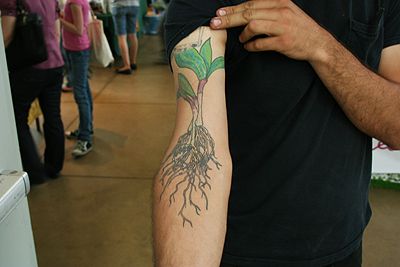 Nice Plaant With Root Tattoo On Biceps