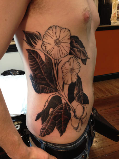 Nice Plant Tattoo On Side Rib For Men