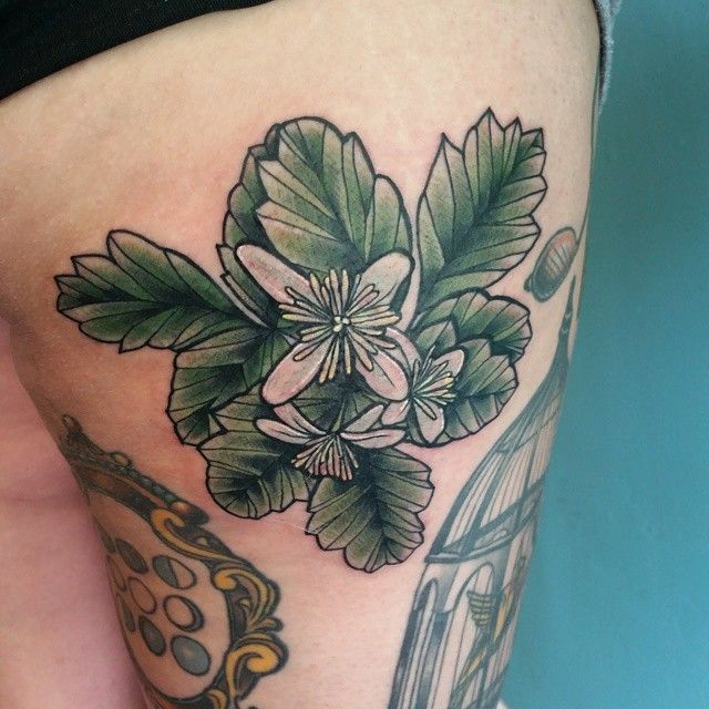 Nice Poison Oak Tattoo On Thigh By Concetta Armijo