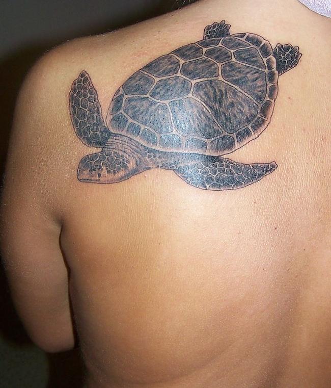 Nice Sea Creature Turtle Tattoo On Upper Back