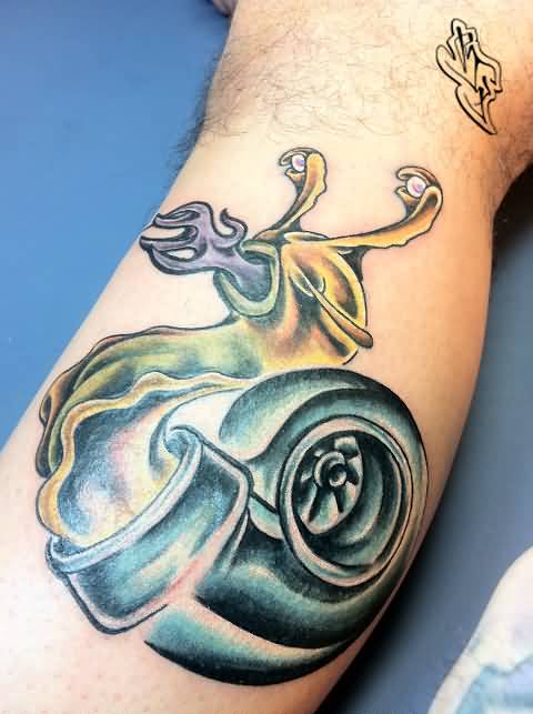 Nice Turbo Snail Tattoo By Brian Freda