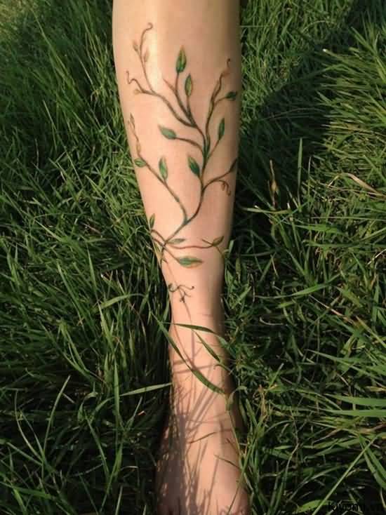 Nice Vine Plant Tattoo On Leg