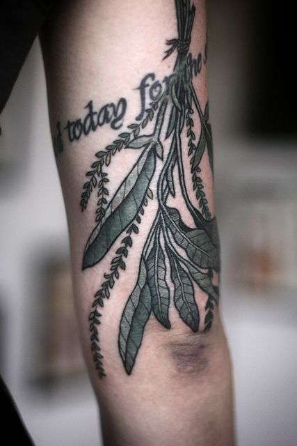 Perfect Plant Tattoo On Triceps