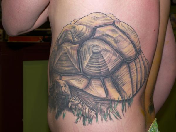 Realistic Colored Big Tortoise Tattoo On Side Rib