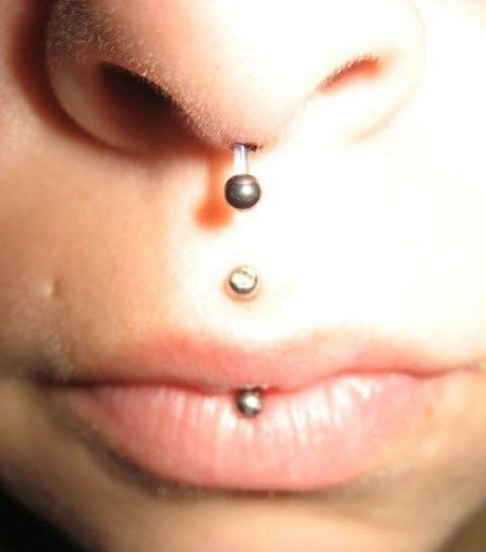 Silver Stud Septril Piercing Picture