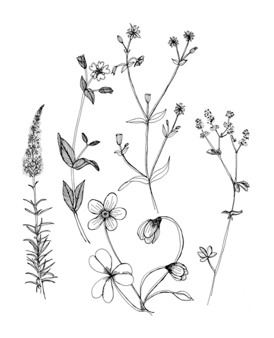 Simple Flowers Plant Tattoo Design