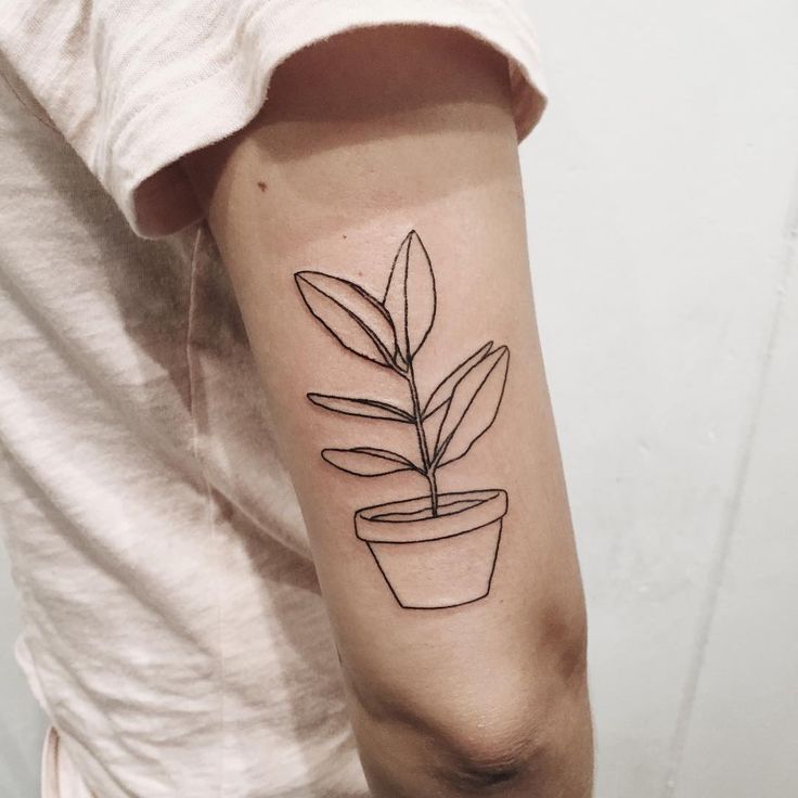 Simple Plant In Pot Tattoo On Triceps