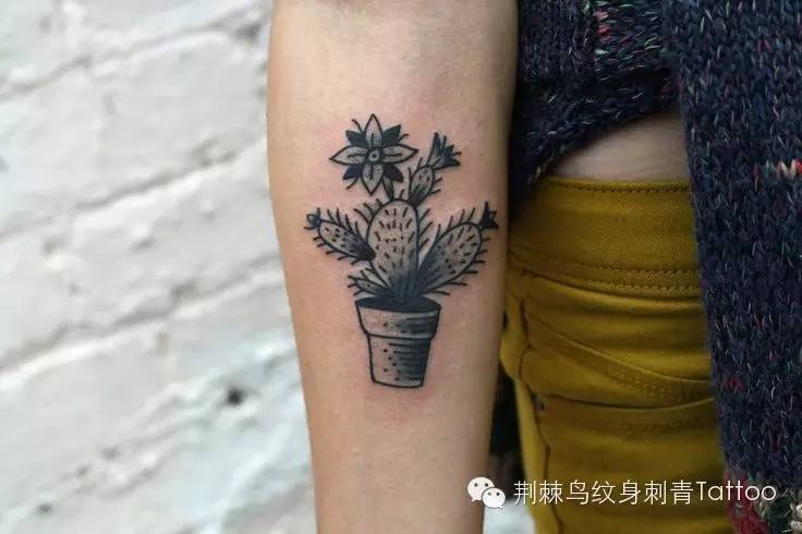 Small Black And White Cactus Potted Plant Tattoo On Forearm