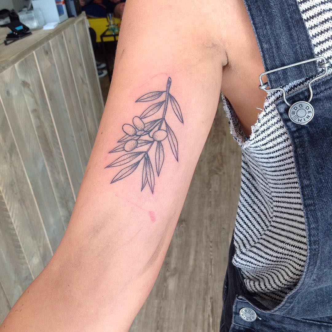 Small Olive Plant Tattoo On Half Sleeve